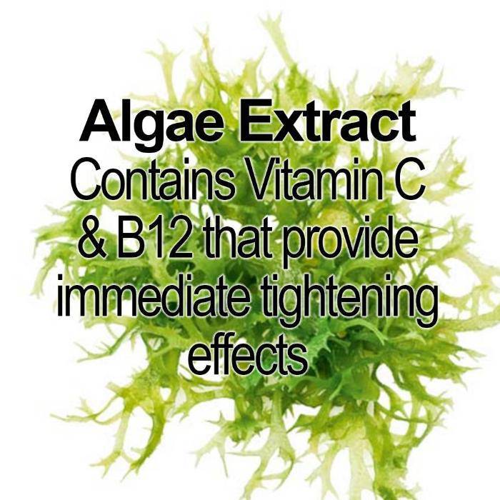 Pure Nightly Skin Rejuvenation Cream - Moisturizing & Lifting